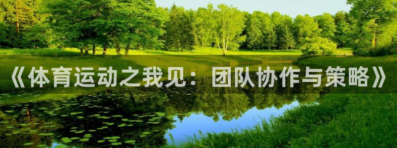 杏运平台注册入口
