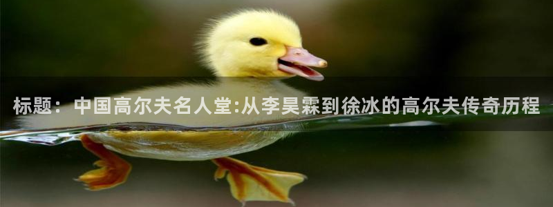 杏运2注册