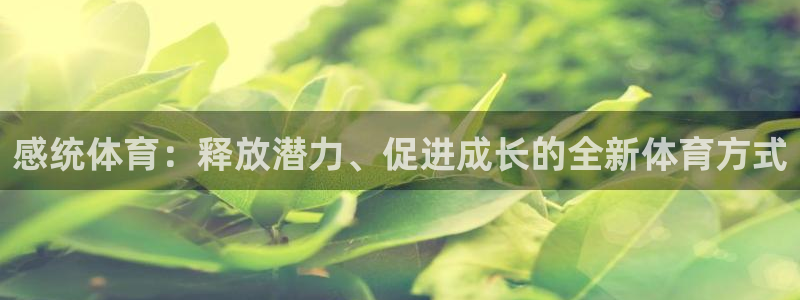 杏运电动汽车多少钱一辆