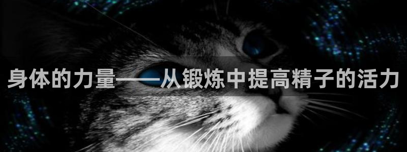 杏运电动汽车多少钱一辆