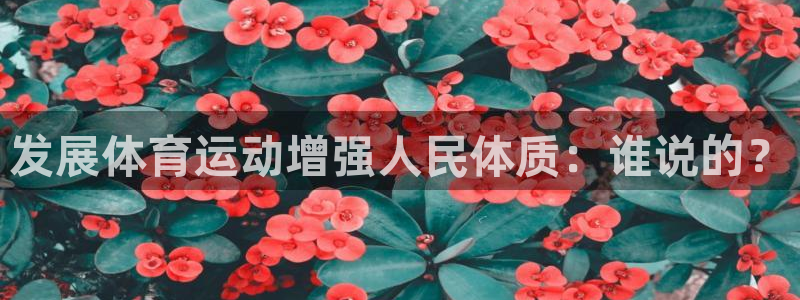 杏运3官网