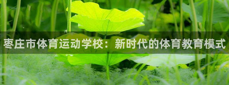 杏运4代理