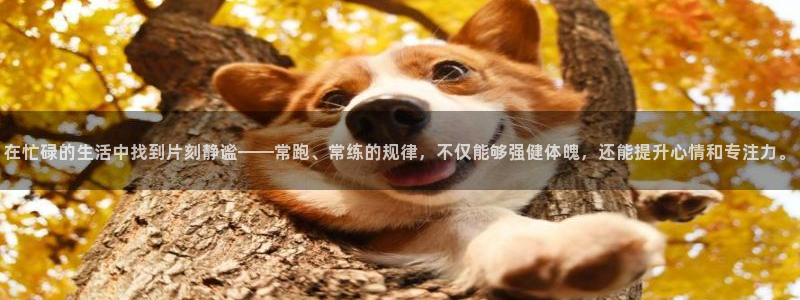 杏运礼盒