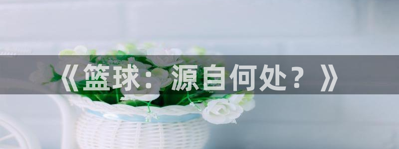 杏运5