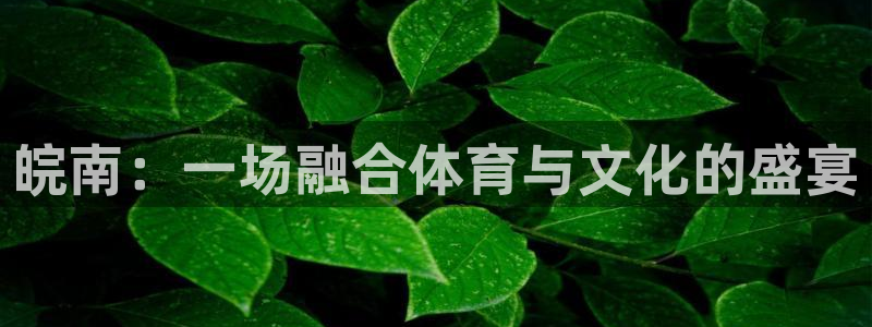 杏运招商
