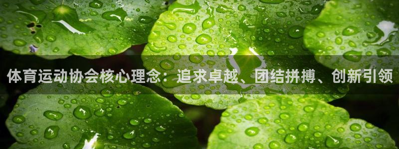 杏运