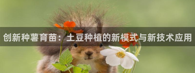 小杏运
