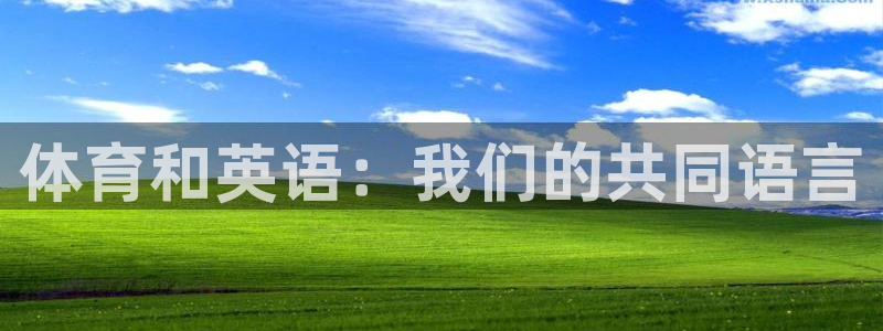 杏运体育热门赛事有哪些
