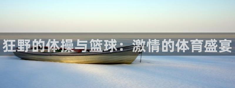杏运代理