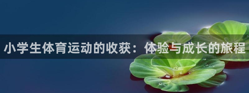 杏运体育和杏耀是哪个公司的