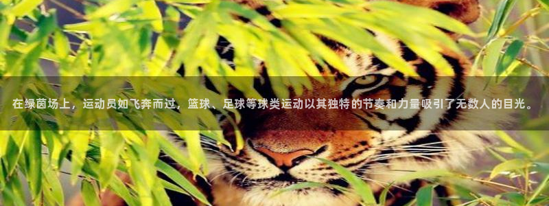 杏运平台开户链接