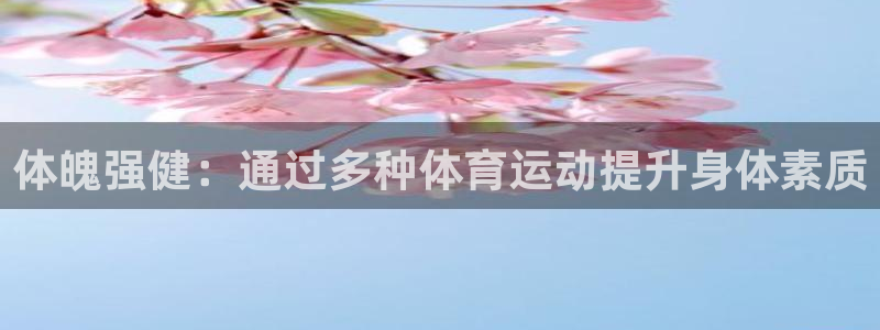 杏运2平台注册