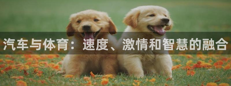 杏运汽车厂家地址