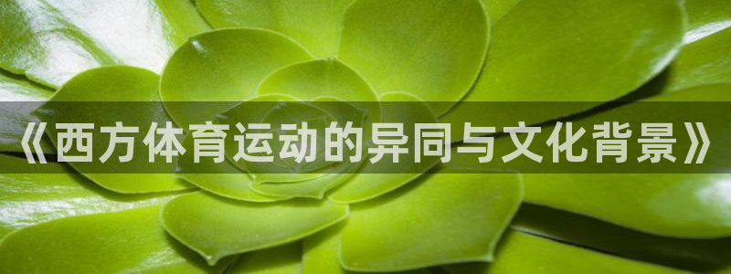 杏运体育官网入口登录