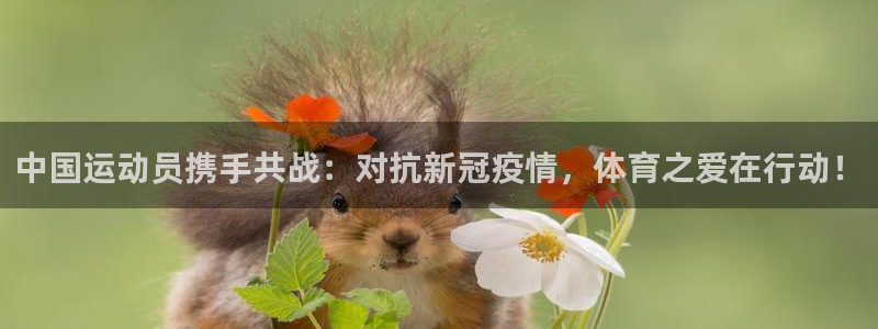 杏运平台注册