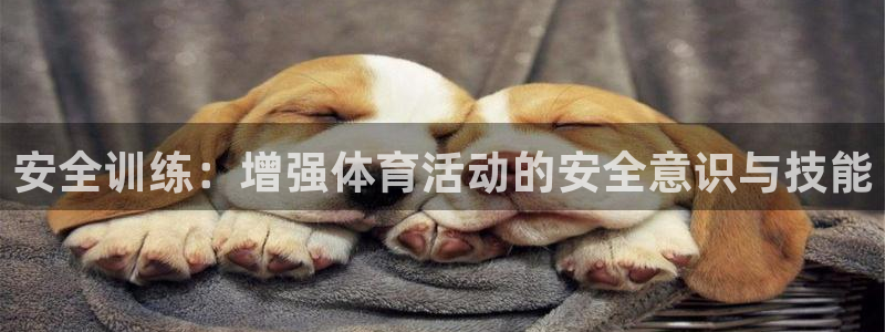 杏运电动汽车多少钱一辆