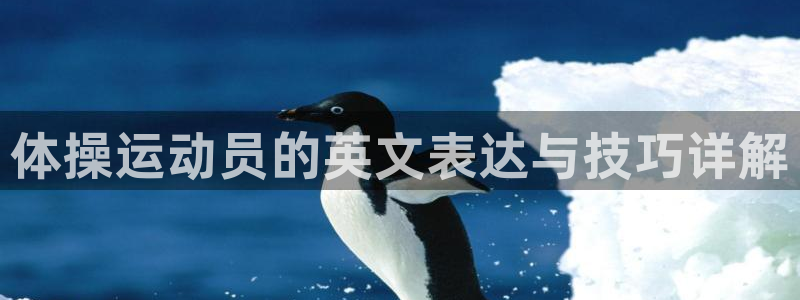 杏运3平台注册