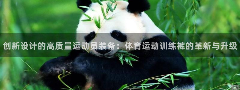 杏运3官网登录