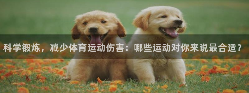 杏运3代理